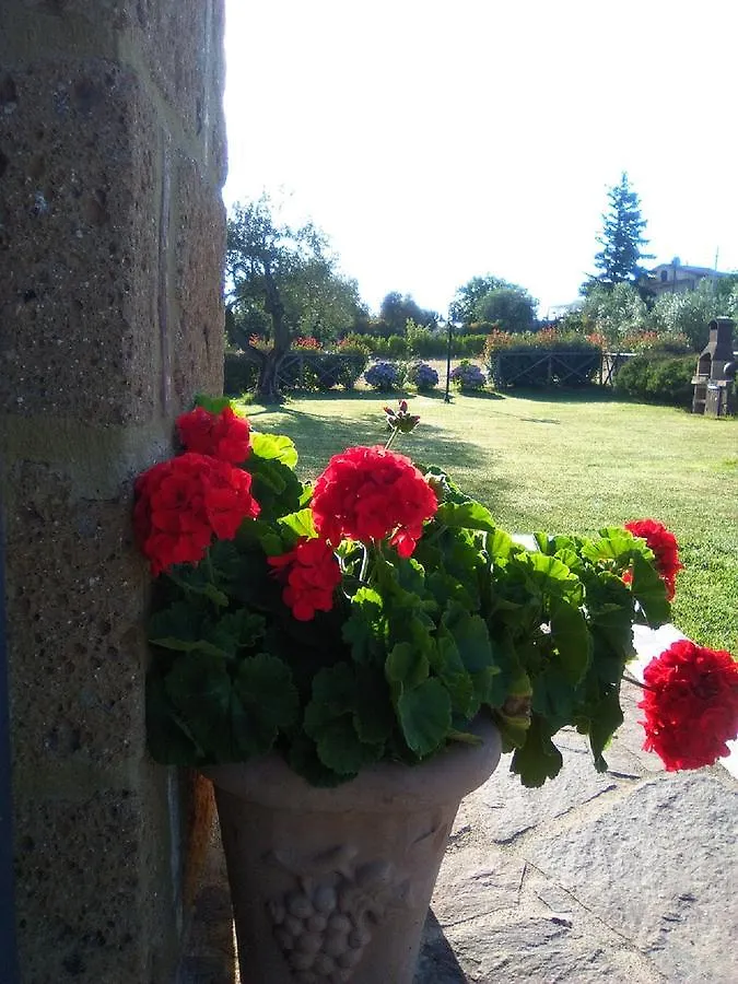 Agriturismo San Giacomo Pitigliano Alloggio per agriturismo