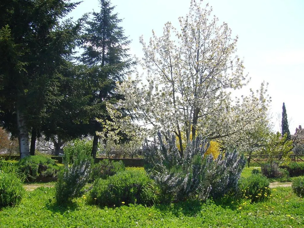 Agriturismo San Giacomo Pitigliano Farm stay